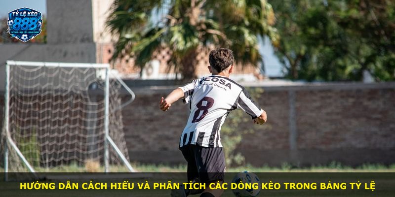 Hướng dẫn cách hiểu và phân tích các dòng kèo trong bảng tỷ lệ