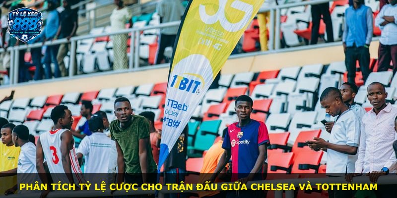 Phân tích tỷ lệ cược cho trận đấu giữa Chelsea và Tottenham