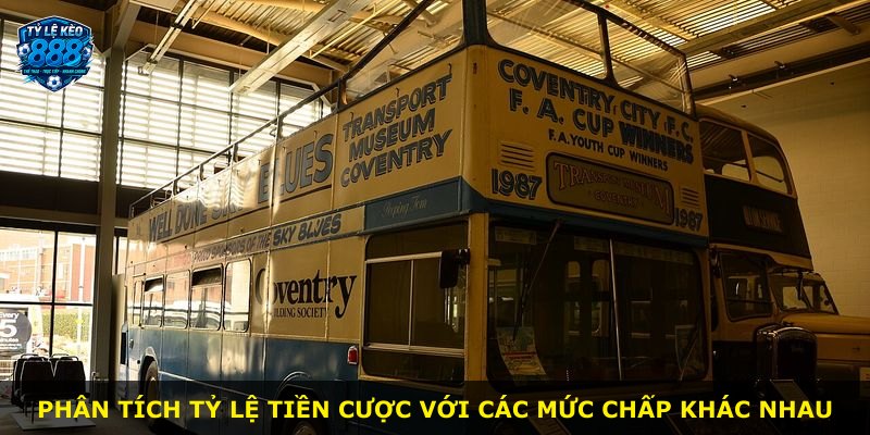 Phân tích tỷ lệ tiền cược với các mức chấp khác nhau