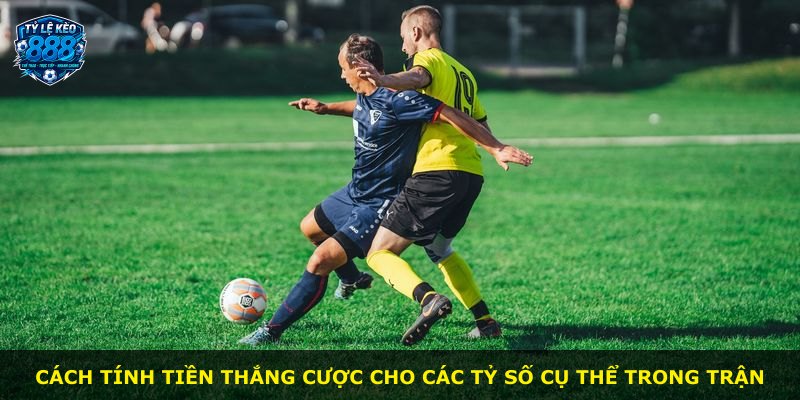 Cách tính tiền thắng cược cho các tỷ số cụ thể trong trận