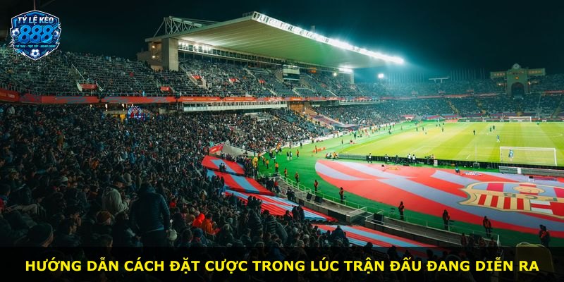 Hướng dẫn cách đặt cược trong lúc trận đấu đang diễn ra