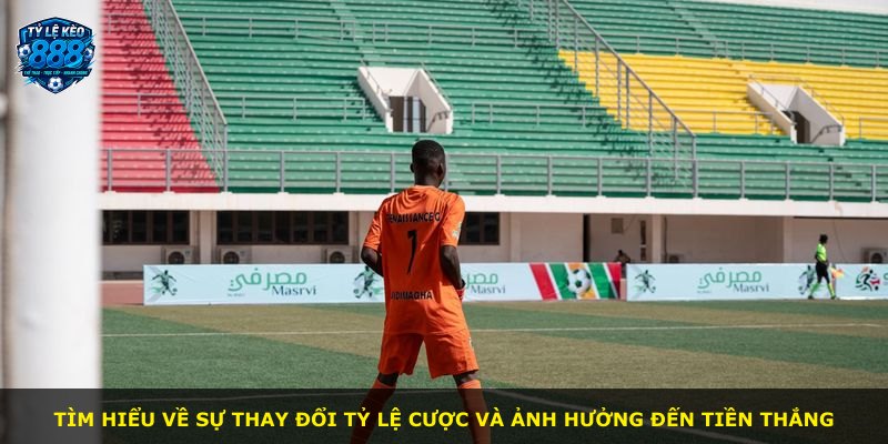 Tìm hiểu về sự thay đổi tỷ lệ cược và ảnh hưởng đến tiền thắng