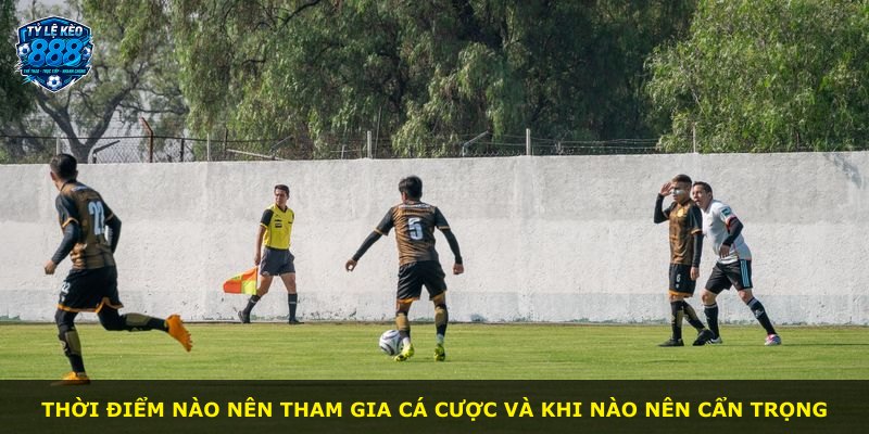 Thời điểm nào nên tham gia cá cược và khi nào nên cẩn trọng