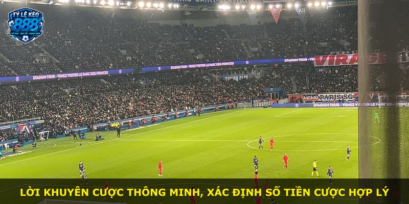 Lời khuyên cược thông minh, xác định số tiền cược hợp lý