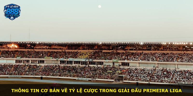 Thông tin cơ bản về tỷ lệ cược trong giải đấu Primeira Liga