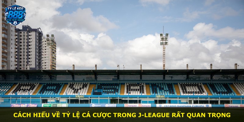 Cách hiểu về tỷ lệ cá cược trong J-League rất quan trọng