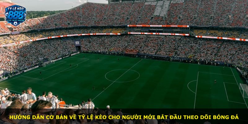 Hướng dẫn cơ bản về tỷ lệ kèo cho người mới bắt đầu theo dõi bóng đá