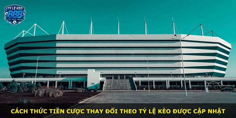 Cách thức tiền cược thay đổi theo tỷ lệ kèo được cập nhật