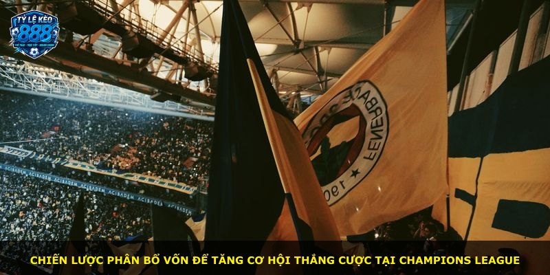 Chiến lược phân bổ vốn để tăng cơ hội thắng cược tại Champions League