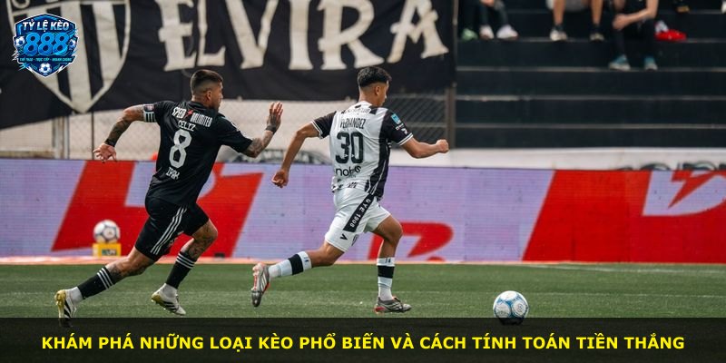 Khám phá những loại kèo phổ biến và cách tính toán tiền thắng