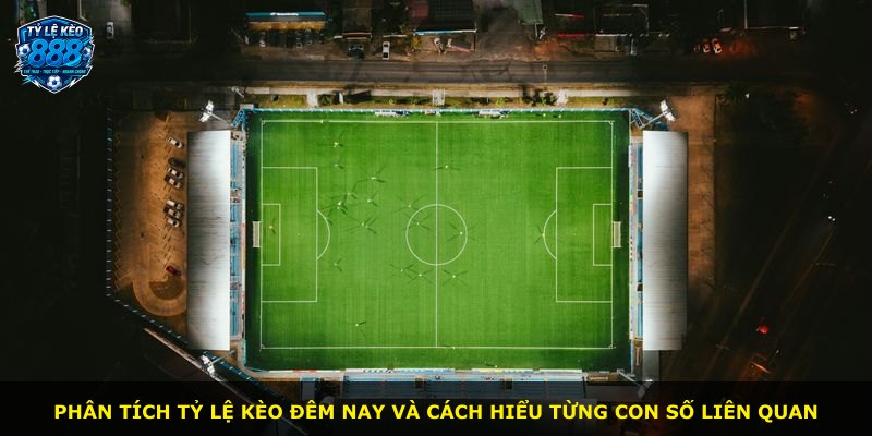 Phân tích tỷ lệ kèo đêm nay và cách hiểu từng con số liên quan