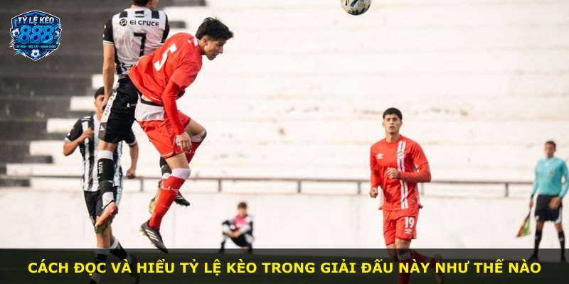 Cách đọc và hiểu tỷ lệ kèo trong giải đấu này như thế nào