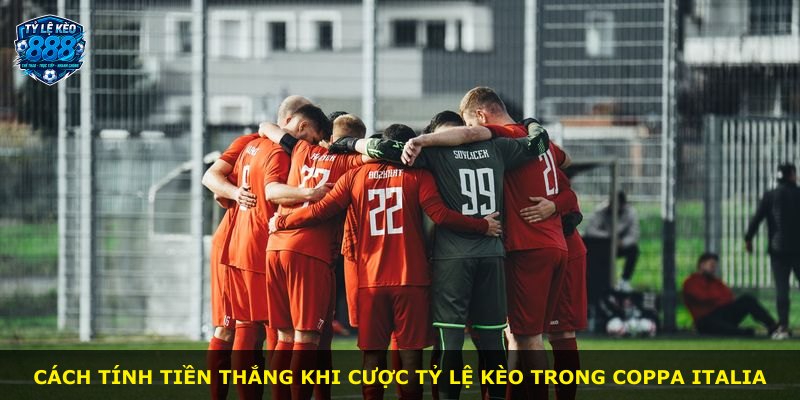 Cách tính tiền thắng khi cược tỷ lệ kèo trong Coppa Italia