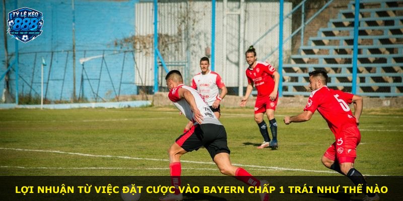 Lợi nhuận từ việc đặt cược vào Bayern chấp 1 trái như thế nào
