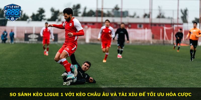 So sánh kèo Ligue 1 với kèo châu Âu và tài xỉu để tối ưu hóa cược