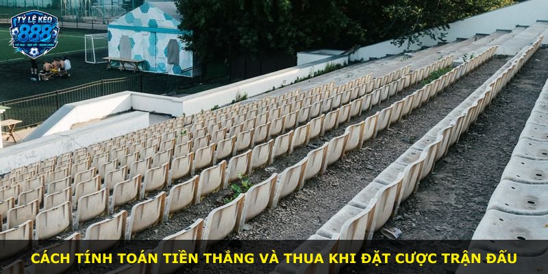 Cách tính toán tiền thắng và thua khi đặt cược trận đấu