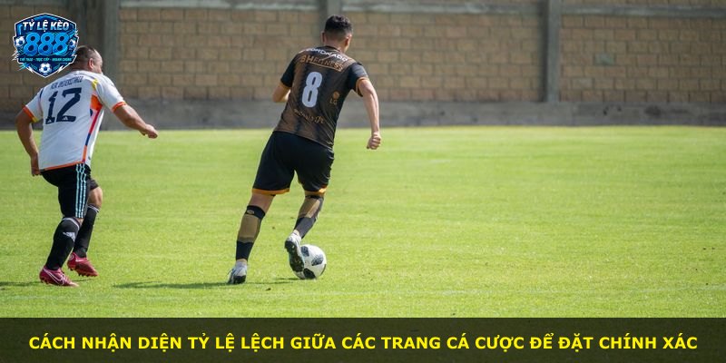Cách nhận diện tỷ lệ lệch giữa các trang cá cược để đặt chính xác