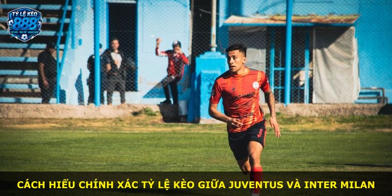 Cách hiểu chính xác tỷ lệ kèo giữa Juventus và Inter Milan