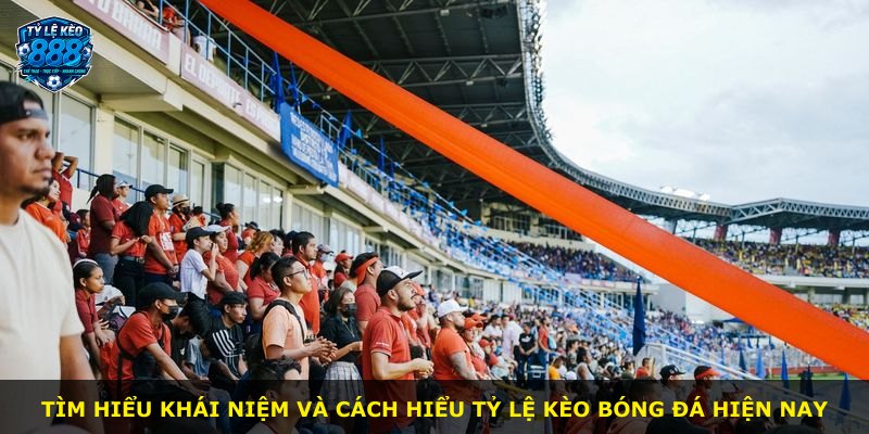 Tìm hiểu khái niệm và cách hiểu tỷ lệ kèo bóng đá hiện nay